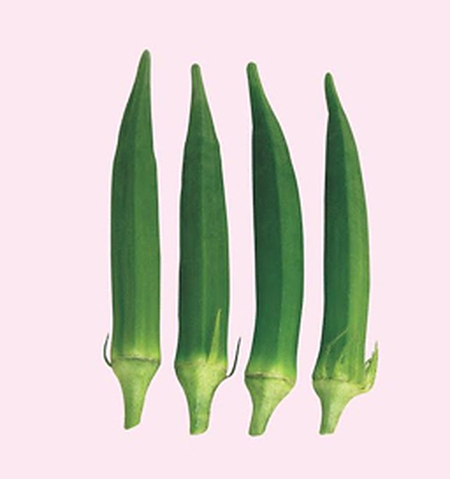 Bhindi Durgesh Plus F1 — Bhindi seeds, Durga Seed Farm