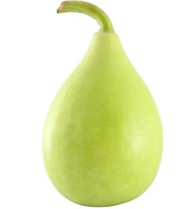 Bottle Gourd Mahi F1 — Bottle Gourd seeds, Durga Seed Farm