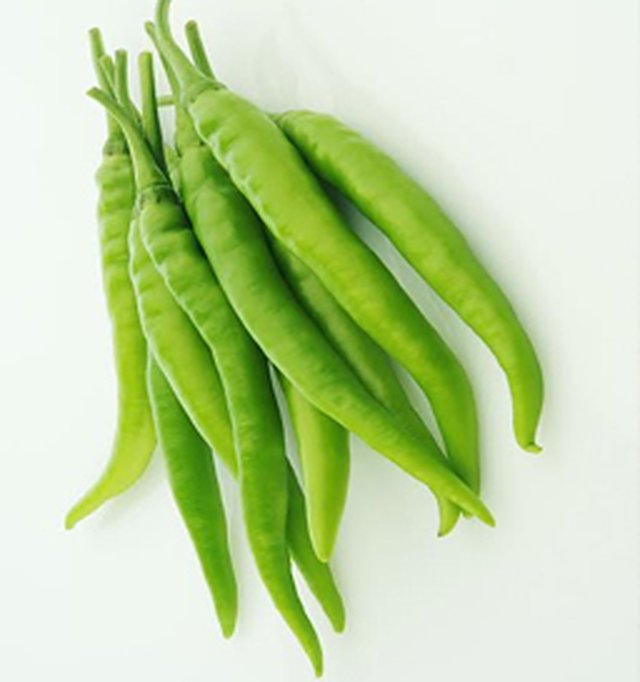 Chilli Ds 01 F1 — Chilli seeds, Durga Seed Farm