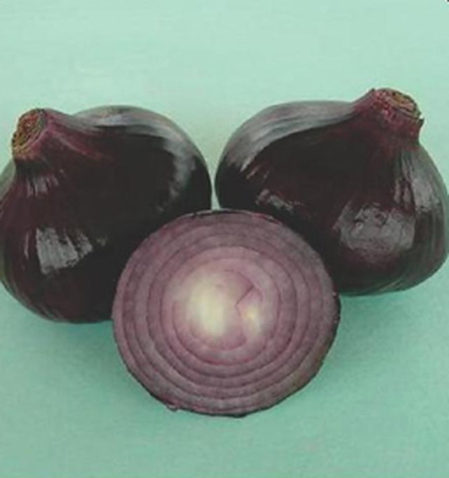 Onion Black Gold — Onion seeds, Durga Seed Farm