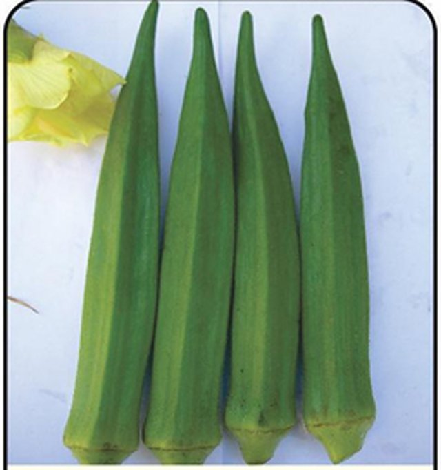 Okra Durgesh Uttam — Okra seeds, Durga Seed Farm