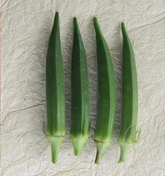 Bhindi Bella - 5 F1 — Bhindi seeds, Durga Seed Farm