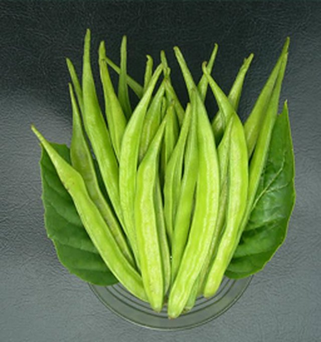 Cluster Beans (Guar) Neelam — Cluster Beans seeds, Durga Seed Farm