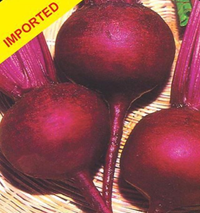 Beet Root Ruby Red — Beet Root seeds, Durga Seed Farm